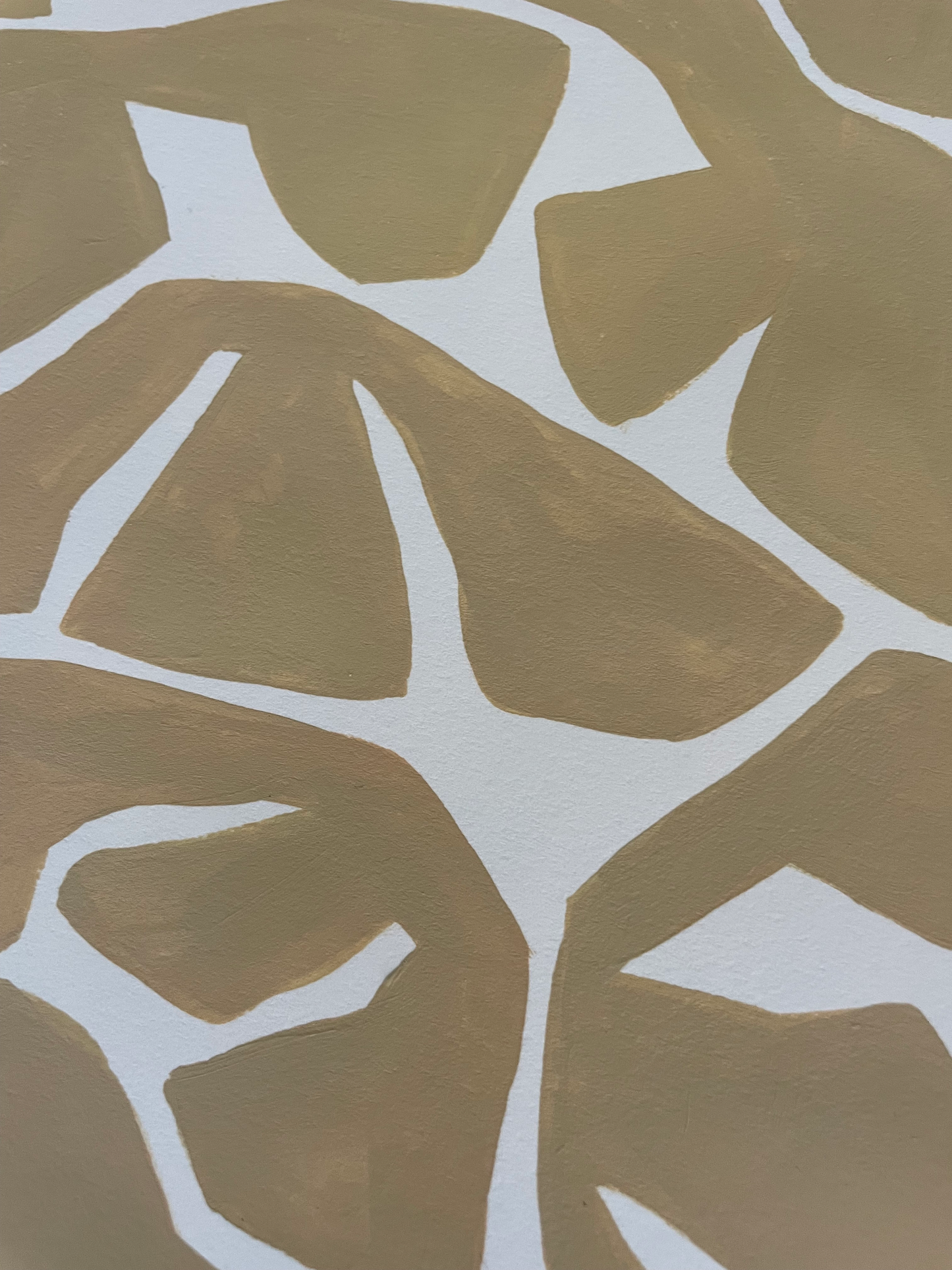 2023 "Corallo" on Cotton Paper