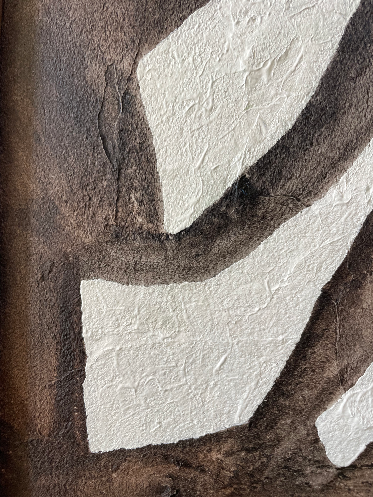 2023 "Sviluppo" Painting on Canvas